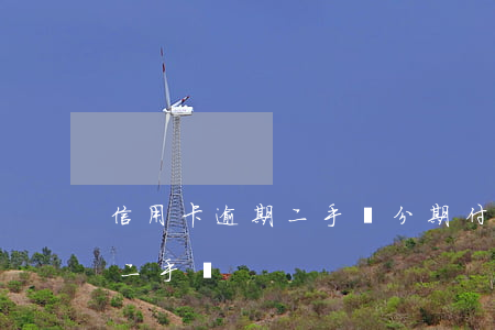 信用卡逾期二手車分期付款(用信用卡分期買二手車)