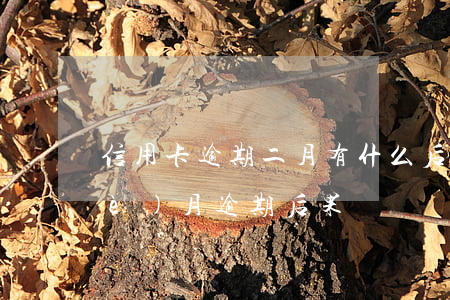 信用卡逾期二月有什么后果(信用卡2個(gè)月逾期后果)