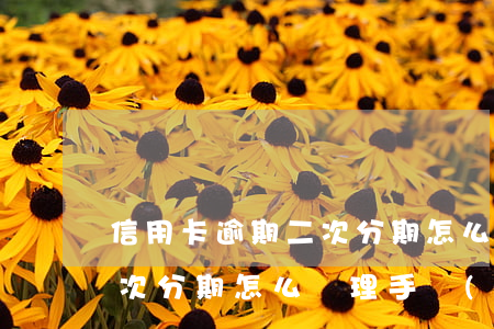 信用卡逾期二次分期怎么辦理(信用卡逾期二次分期怎么辦理手續(xù))