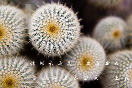 信用卡逾期二次各四天會上征信不-信用卡逾期二次各四天會上征信不