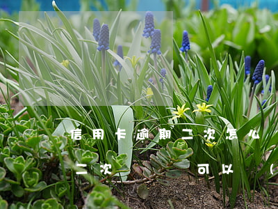 信用卡逾期二次怎么補(bǔ)救-信用卡二次違約還可以協(xié)商嗎