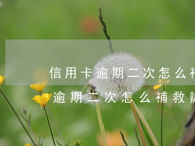 信用卡逾期二次怎么補救辦法最快-信用卡逾期二次怎么補救辦法最快解決