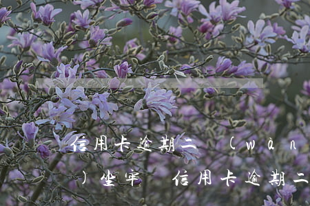 信用卡逾期二萬(wàn)未還會(huì)坐牢嗎(信用卡逾期二萬(wàn)未還會(huì)坐牢嗎怎么辦)