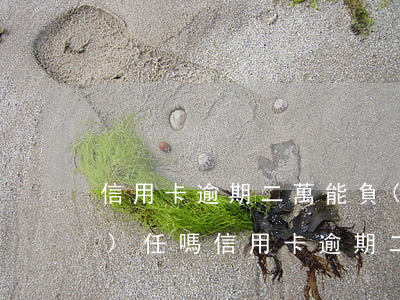 信用卡逾期二萬能負(fù)刑事責(zé)任嗎(信用卡逾期二萬能負(fù)刑事責(zé)任嗎怎么處理)