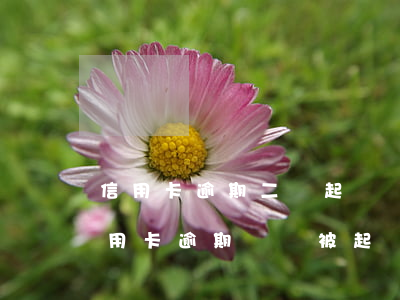 信用卡逾期二萬起訴會(huì)坐牢嗎(信用卡逾期兩萬被起訴會(huì)坐牢嗎)