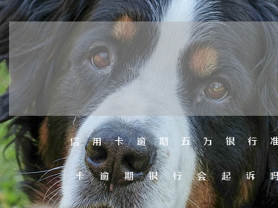 信用卡逾期五万银行准备起诉(低于5万信用卡逾期银行会起诉吗)
