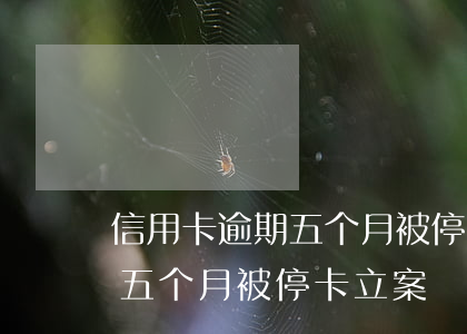 信用卡逾期五个月被停卡立案-信用卡逾期五个月被停卡立案