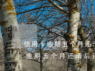 信用卡逾期五个月还清后还能用吗-信用卡逾期五个月还清后还能用吗知乎