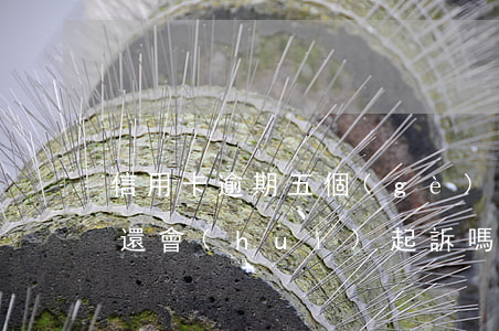 信用卡逾期五個(gè)月協(xié)商還會(huì)起訴嗎(信用卡5個(gè)月處于逾期)
