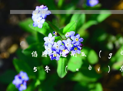 信用卡逾期五個(gè)月可以停息(信用卡5年內(nèi)有6個(gè)月處于逾期狀態(tài)能貸款嗎)
