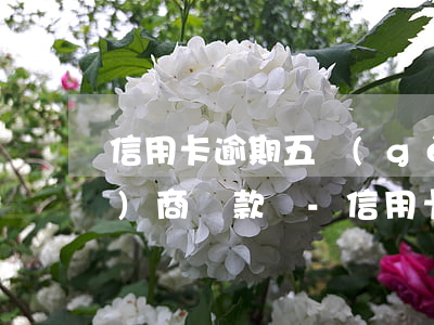 信用卡逾期五個(gè)月可以協(xié)商還款嗎-信用卡逾期五個(gè)月可以協(xié)商還款嗎