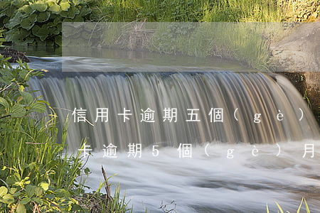信用卡逾期五個(gè)月和銀行溝通(銀行卡逾期5個(gè)月)