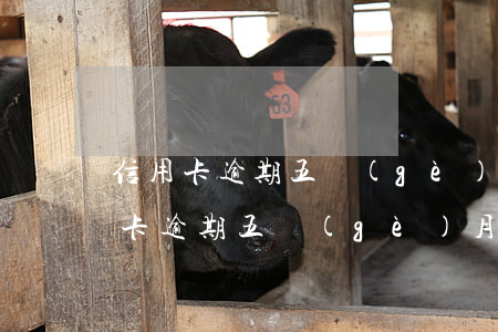 信用卡逾期五個(gè)月影響貸款-信用卡逾期五個(gè)月影響貸款么