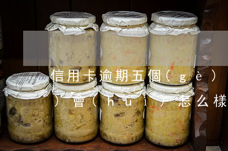 信用卡逾期五個(gè)月打電話(huà)會(huì)怎么樣-信用卡逾期五個(gè)月打電話(huà)會(huì)怎么樣嗎