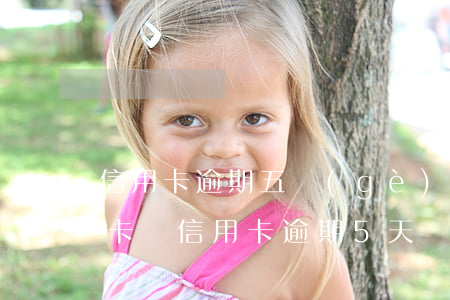 信用卡逾期五個(gè)月會(huì)封卡嗎(信用卡逾期5天會(huì)影響么)