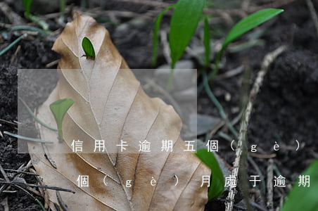 信用卡逾期五個(gè)月有事嗎 信用卡5個(gè)月處于逾期