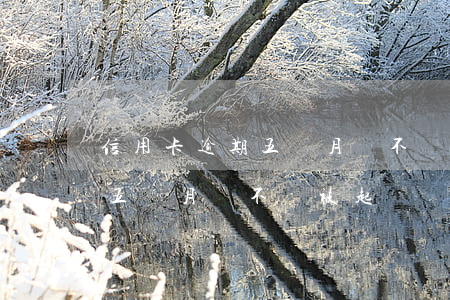 信用卡逾期五個月會不會被起訴(信用卡逾期五個月會不會被起訴)