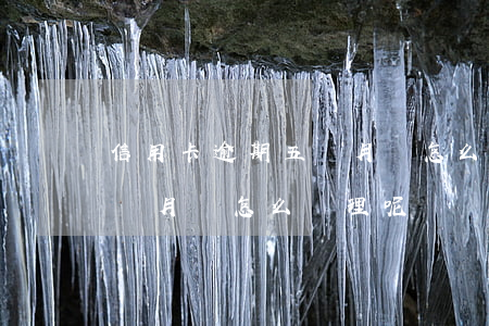 信用卡逾期五個月會怎么處理(信用卡逾期五個月會怎么處理呢)