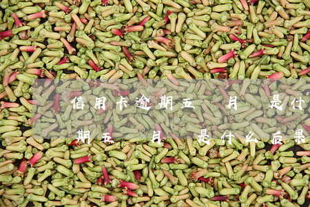 信用卡逾期五個月會是什么后果-信用卡逾期五個月會是什么后果呢