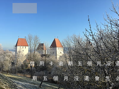 信用卡逾期五個月沒還會怎么樣-信用卡逾期五個月沒還會怎么樣嗎