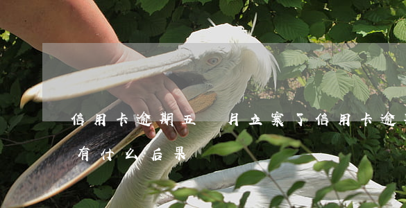 信用卡逾期五個月立案了(信用卡逾期5個月有什么后果)