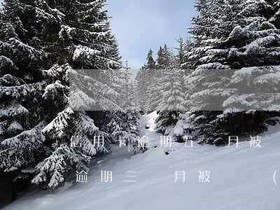 信用卡逾期五個月被凍結(jié)(信用卡逾期三個月被凍結(jié),能解凍嗎)