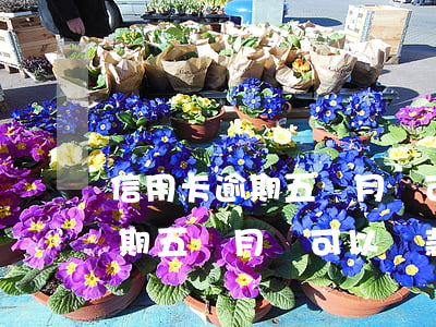 信用卡逾期五個月還可以貸款嗎-信用卡逾期五個月還可以貸款嗎知乎