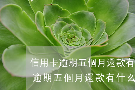 信用卡逾期五個月還款有什么影響-信用卡逾期五個月還款有什么影響嗎