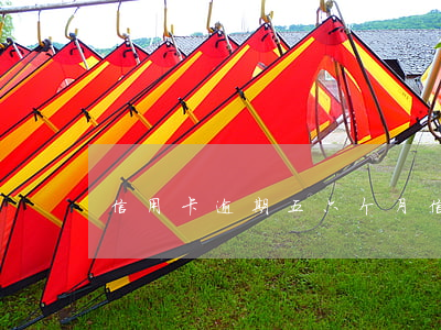 信用卡逾期五六个月(信用卡逾期五六个月了)