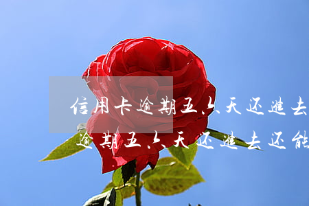 信用卡逾期五六天还进去还能用吗-信用卡逾期五六天还进去还能用吗有影响吗