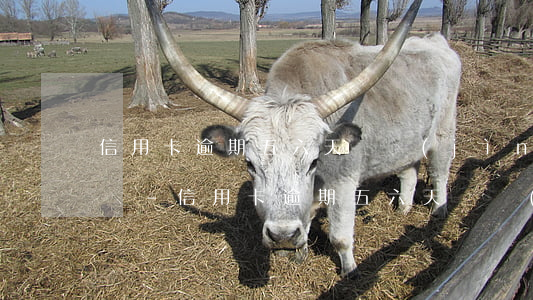 信用卡逾期五六天還進(jìn)去還能用嗎-信用卡逾期五六天還進(jìn)去還能用嗎有影響嗎