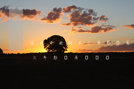 信用卡逾期五六年影響房貸嗎(信用卡逾期五六年影響房貸嗎嗎)