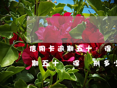 信用卡逾期五十萬得獲刑多少年-信用卡逾期五十萬得獲刑多少年才能判刑