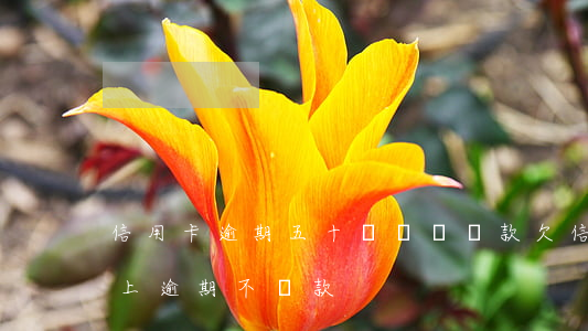 信用卡逾期五十萬無償還款(欠信用卡5萬以上逾期不還款)