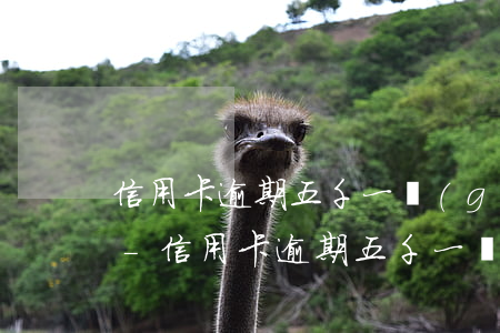 信用卡逾期五千一個(gè)月利息是多少-信用卡逾期五千一個(gè)月利息是多少錢