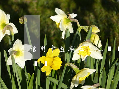 信用卡逾期五千上門嗎 信用卡5千逾期會上門嗎