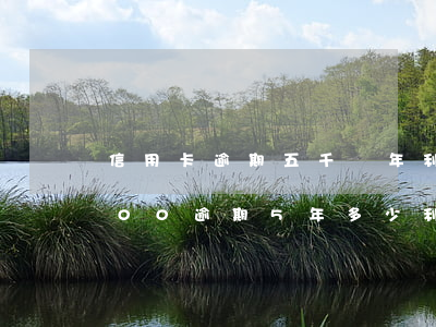 信用卡逾期五千兩年利息有多少 信用卡5000逾期5年多少利息是多少錢