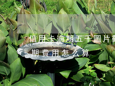 信用卡逾期五千圖片截圖(信用卡5000逾期費用怎么算)