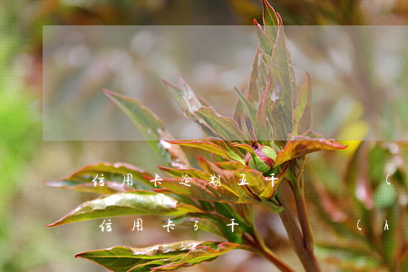信用卡逾期五千塊錢會(huì)坐牢嗎(欠信用卡5千塊錢會(huì)不會(huì)坐牢)