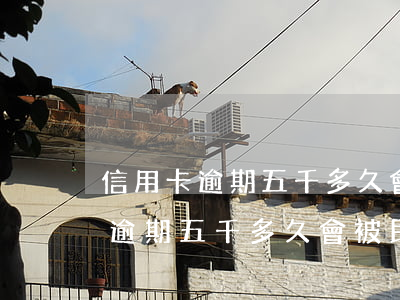 信用卡逾期五千多久會被民事訴訟-信用卡逾期五千多久會被民事訴訟起訴