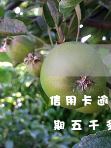 信用卡逾期五千多久會被民事訴訟(信用卡逾期五千多久會被民事訴訟)