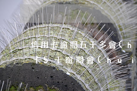 信用卡逾期五千多會(huì)拘留嗎(信用卡5千逾期會(huì)上門(mén)嗎)