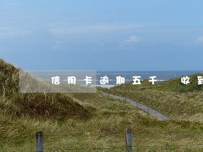 信用卡逾期五千會收到法院傳喚嗎