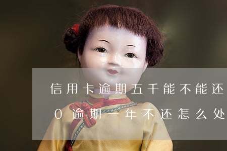 信用卡逾期五千能不能还本金(信用卡5000逾期一年不还怎么处理)