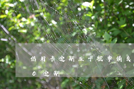 信用卡逾期五千被申请支付令(信用卡5000逾期)