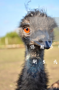 信用卡逾期五天也沒有提醒(忘記還信用卡逾期5天會(huì)有不良記錄嗎)