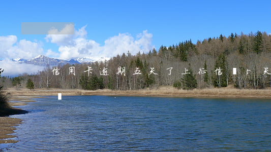 信用卡逾期五天了上征信嗎(5天逾期上征信嗎)