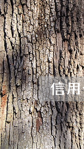 信用卡逾期五天了 信用卡逾期五天了怎么还