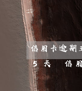 信用卡逾期五天以后最低還款可以嗎-逾期5天還信用卡