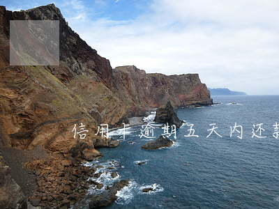 信用卡逾期五天内还款-信用卡逾期4天